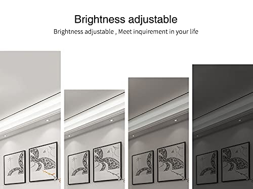 ⚡ LED krmilnik MIBOXER – enobarvni, WiFi 2.4GHz/RF