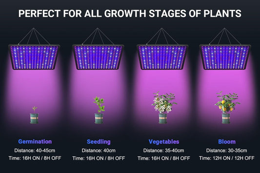 🌱 DragonLight EW1000 Full Spectrum LED – 60×60 cm, UV & IR