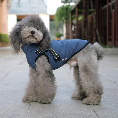 🦮 Topel zimski plašč z oprsnico za pse, vodoodporen – več barv in velikosti