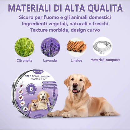 Komplet 2x HuakChai antiparazitna ovratnica za pse – 65 cm, zaščita do 8 mesecev