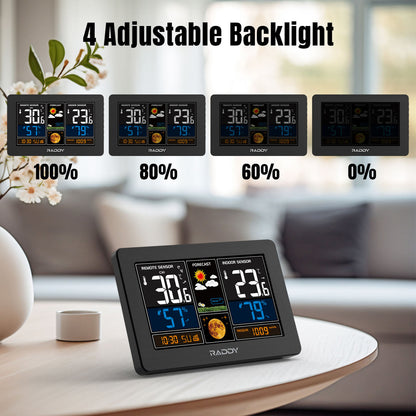 🌦️ Raddy WiFi weather station with outdoor sensor