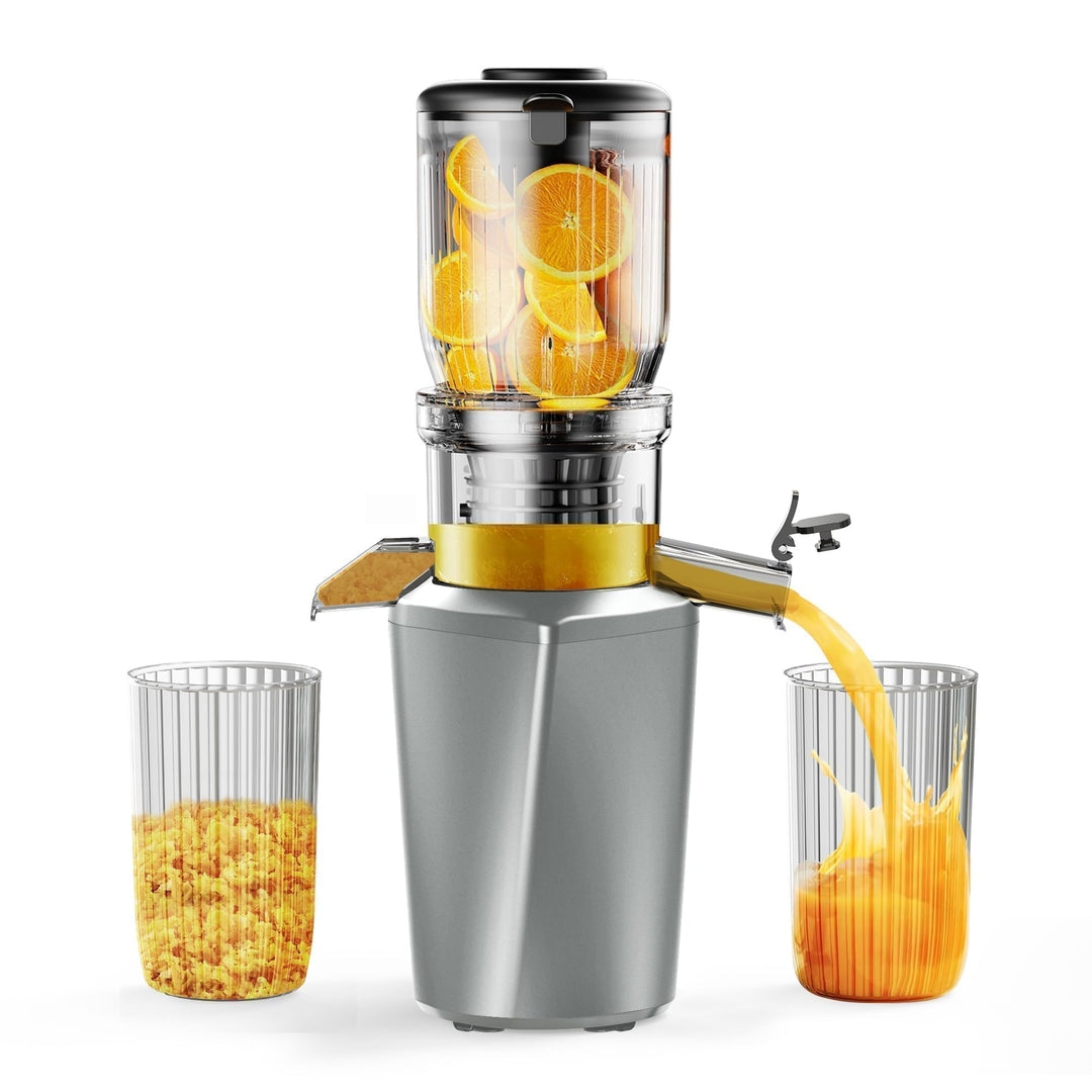 🍊 Počasni sokovnik Fyenkfar 250W – hladno stiskanje sadja in zelenjave (črn,siv)