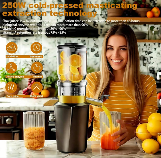 🍊 Počasni sokovnik Fyenkfar 250W – hladno stiskanje sadja in zelenjave (črn)