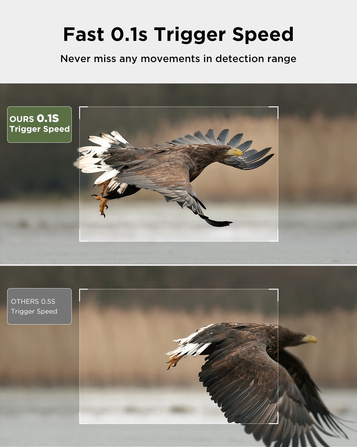 Solarna lovska kamera CEYOMUR 46MP, 4K UHD, 4400mah baterija WiFi, Bluetooth, SLO meni - naklikaj.si