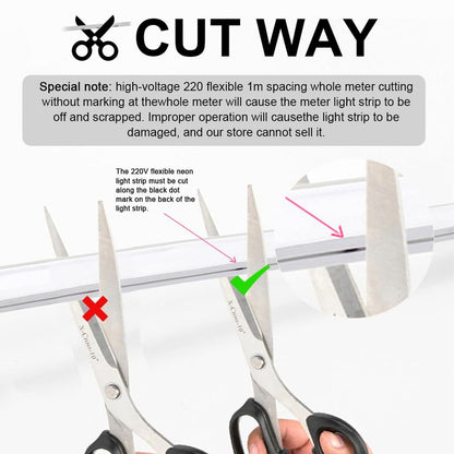 BAGZY Neon LED trak 10M, 6000K, 230V - zunanji IP65