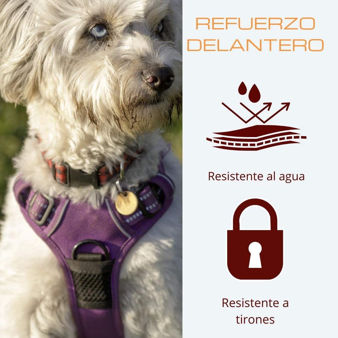 🐾 Nastavljiva oprsnica za pse z vrvico – velikost M