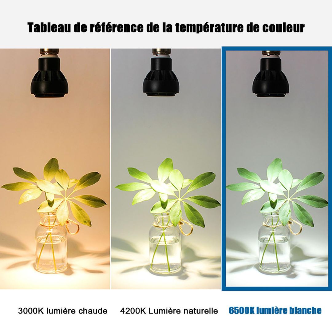 Komplet 6 LED sijalk EXTRASTAR R50, hladno bela 6500K, E14, 6W
