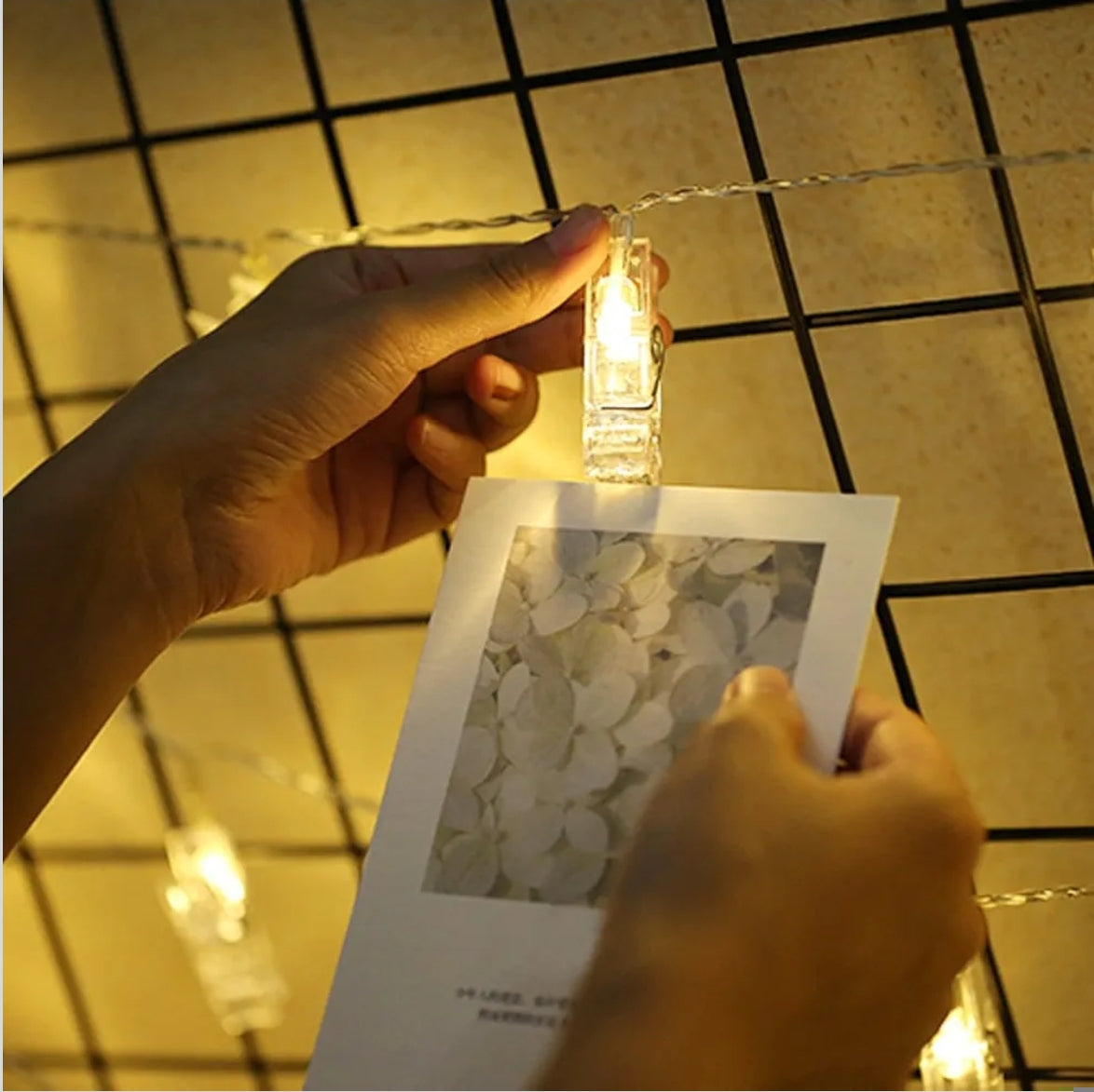 Twinkle Star LED lučke s ščipalkami za fotografije – plastika, toplo bela, 5 m