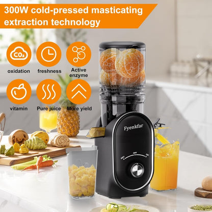 🍊 Slow juicer Fyenkfar 802K, 300W – cold pressing of fruits and vegetables (black, gray)