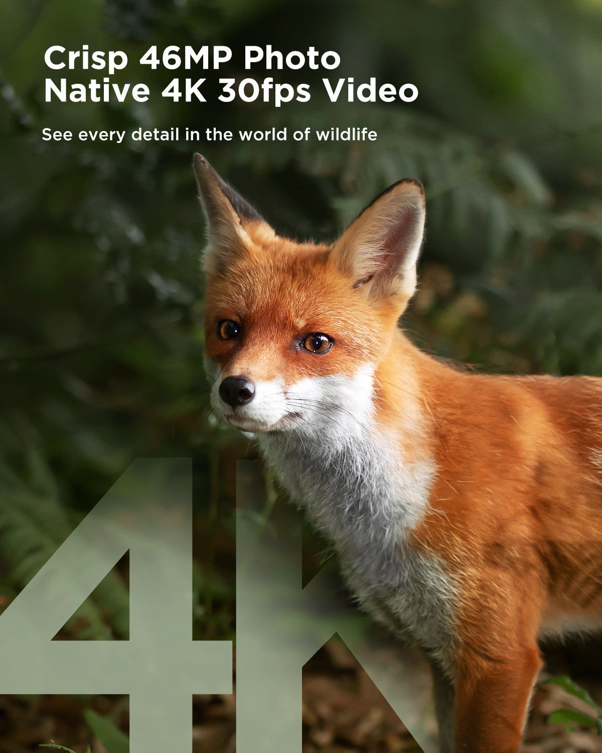 Solarna lovska kamera CEYOMUR 46MP, 4K UHD, 4400mah baterija WiFi, Bluetooth, SLO meni - naklikaj.si