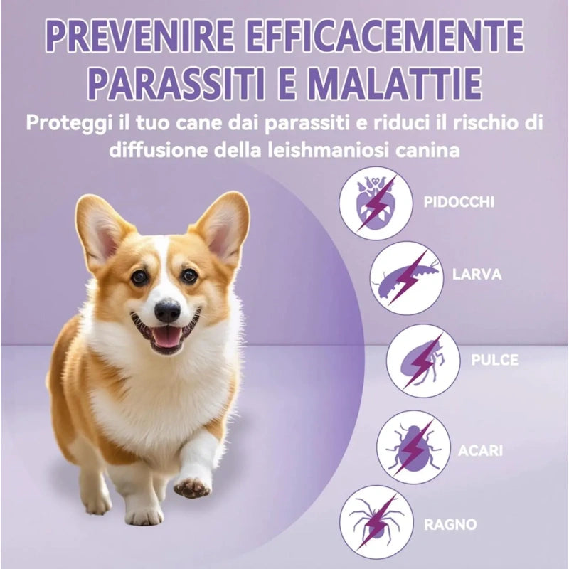 Komplet 2x HuakChai antiparazitna ovratnica za pse – 65 cm, zaščita do 8 mesecev