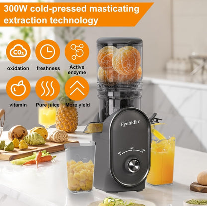 🍊 Slow juicer Fyenkfar 802K, 300W – cold pressing of fruits and vegetables (black, gray)