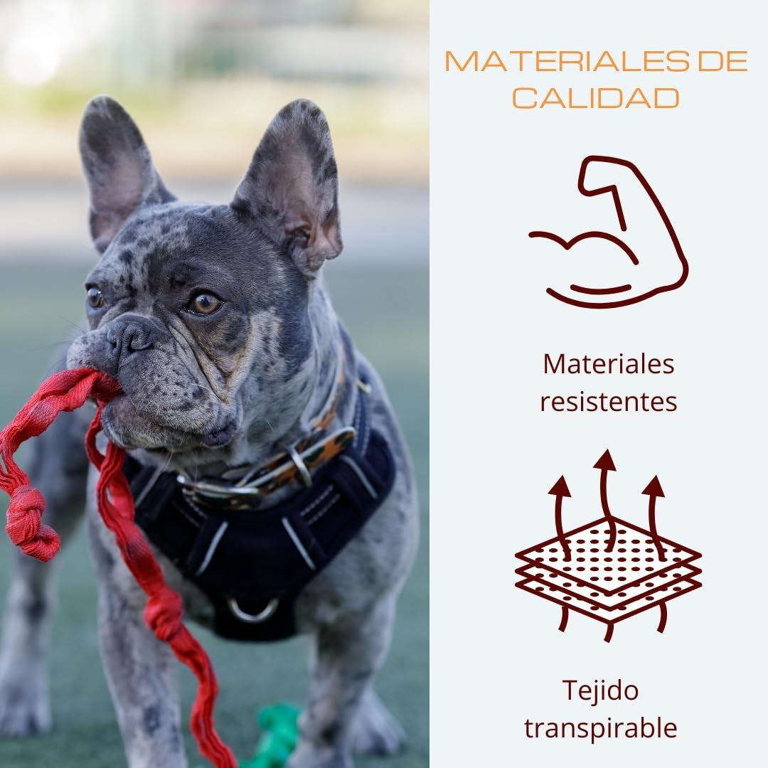 🐾 Nastavljiva oprsnica za pse z vrvico – velikost M