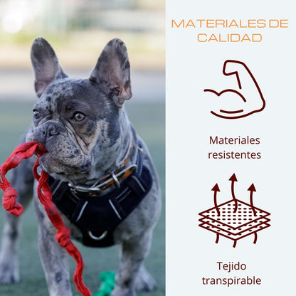 🐾 Nastavljiva oprsnica za pse z vrvico – velikost M